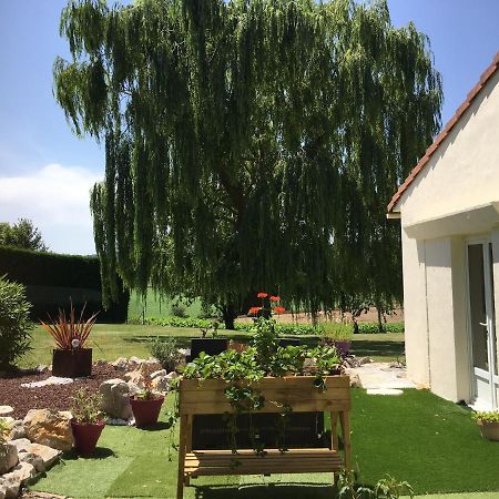 Domaine De La Vigne Acomodação com café da manhã Cadalen Exterior foto