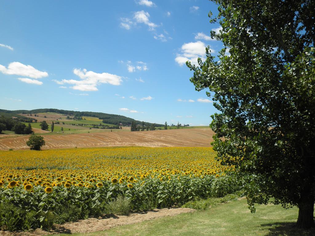 Domaine De La Vigne Acomodação com café da manhã Cadalen Exterior foto