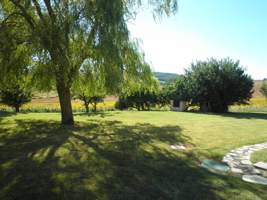 Domaine De La Vigne Acomodação com café da manhã Cadalen Exterior foto